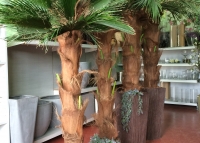 Arboles artesanales imitación a palmera